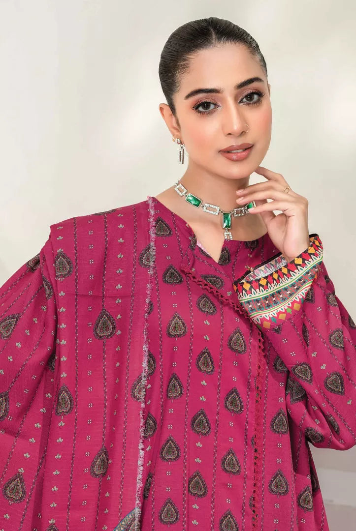 Sakina By Anarkali 3 Piece Stitched Suit – 06