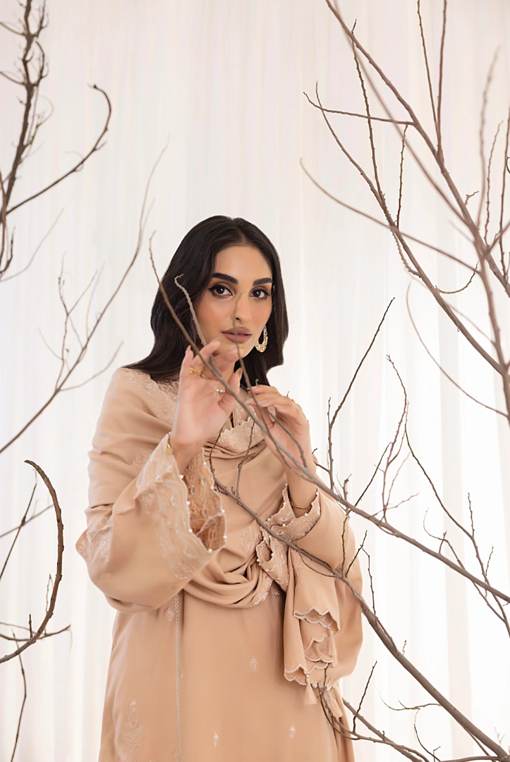 3 Piece Stitched Embroidered Cashmi Wool With Lakhany Winter Embriodered Shawl collection 07