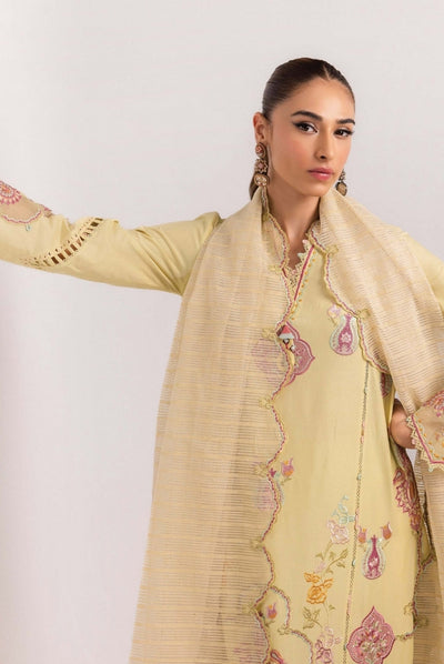 3 Piece Stitched Luxury Suits From Qalamkar Basic Pret'25 Collection - AFRA