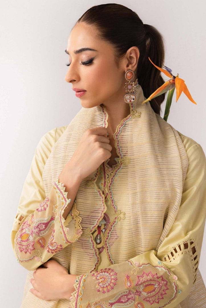 3 Piece Stitched Luxury Suits From Qalamkar Basic Pret'25 Collection - AFRA